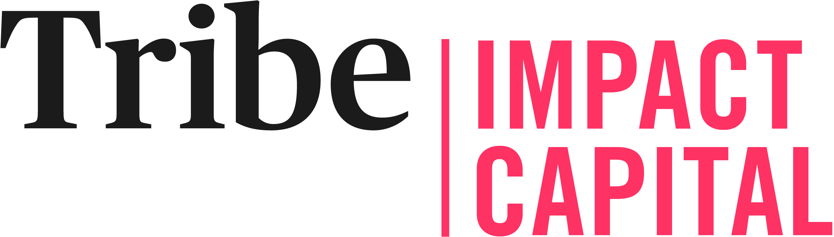 Tribe Impact Capital logo